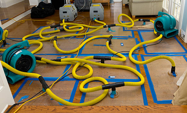 Professional Crawl Space Water Removal technician working in Carpentersville, IL